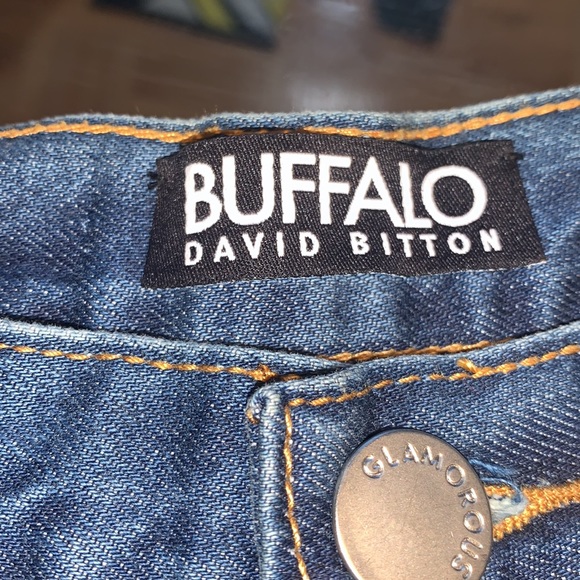 Buffalo 🦬 David Bitton - Picture 7 of 11